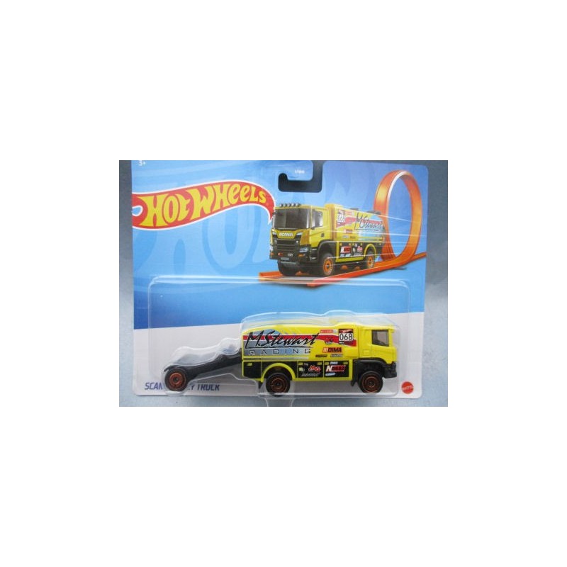 H.W.CAMION SCANIA RALLEY TRUCK